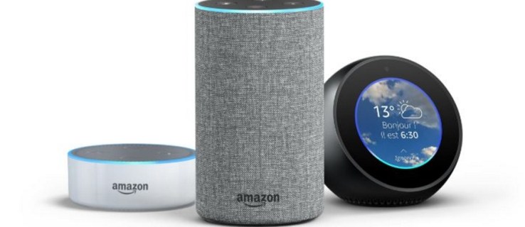 Работи ли Amazon Echo с множество потребители?
