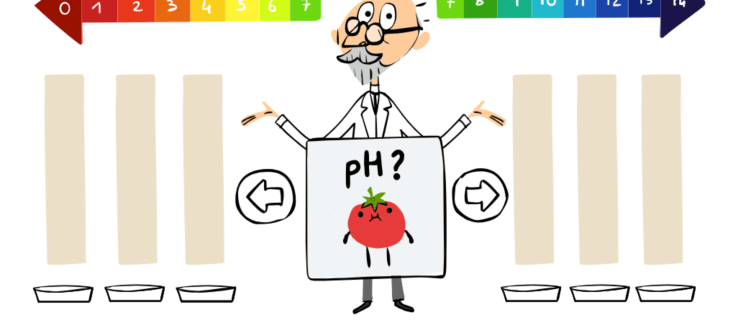 Permainan Google Doodle: Uji pengetahuan skala pH anda dengan Doodle interaktif ini mengenai S.P.L Sørensen